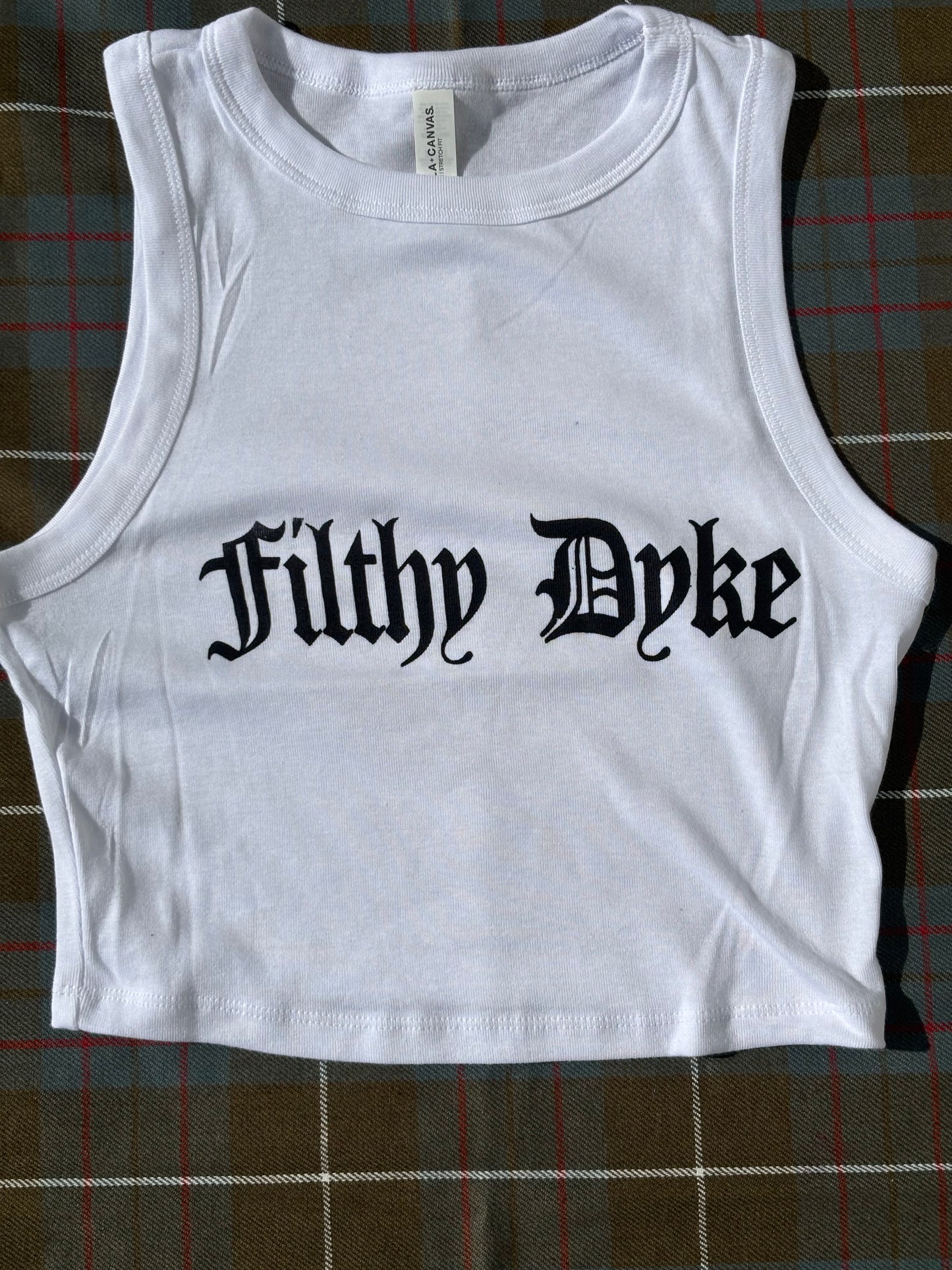 Filthy Dyke Cropped vest