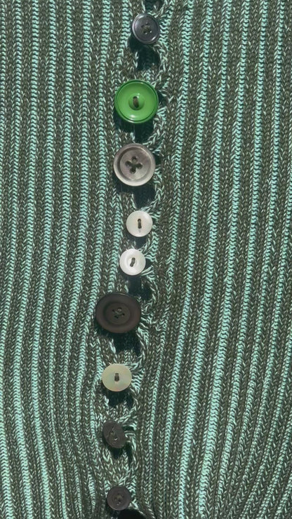 Chameleon jester vest
